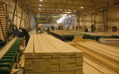 Plywood Sheets — image 1